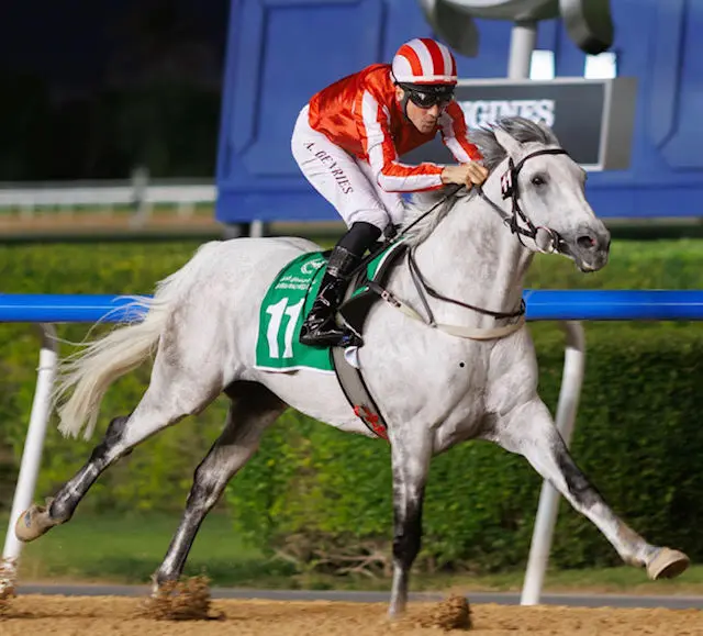 Dubbel winst voor De Vries in Dubai featured image