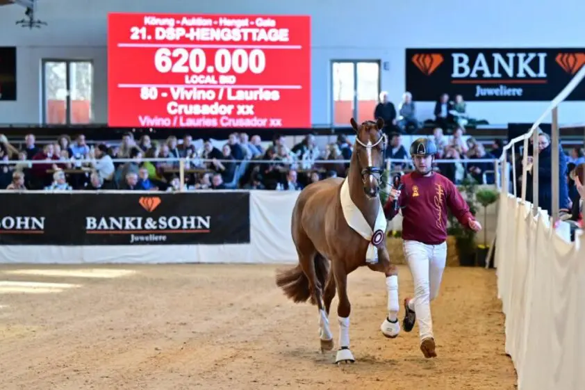 HK DSP: Vivino x Lauries Crusador xx voor 620.000 euro naar Max-Theurer featured image