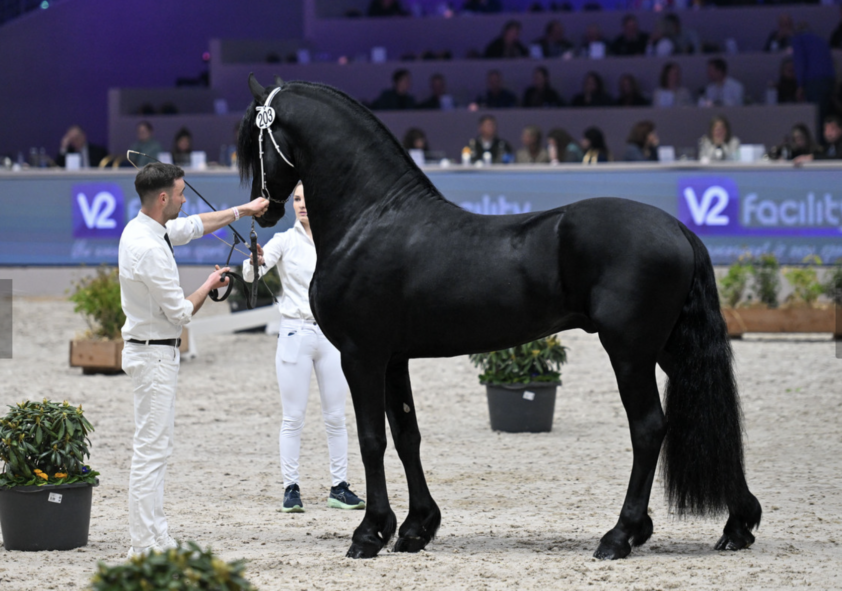 Spannende ontknopingen in KFPS Horse2Fly Tuigcompetities 2026 featured image