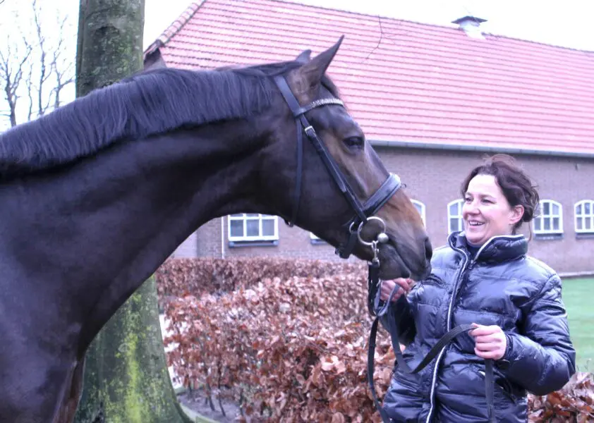 Claartje Ruis van Hengstenhouderij Van Bommel overleden featured image