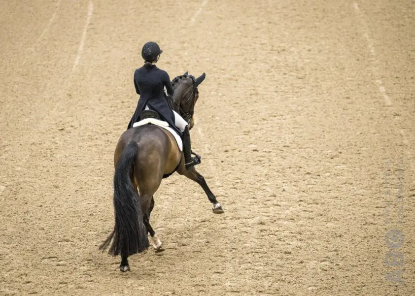 Top 10 Dressage in Stockholm geschrapt wegens gebrek aan sponsoring featured image