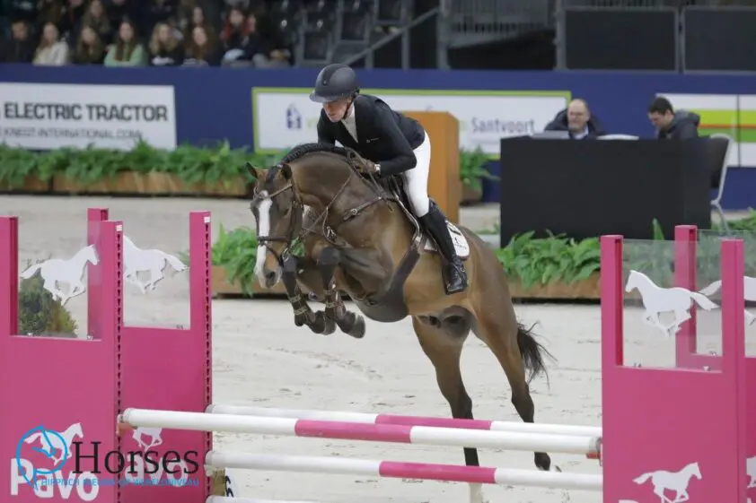 Hattrick voor Pinacolada van Seldsum in Stal Hendrix-competitie featured image