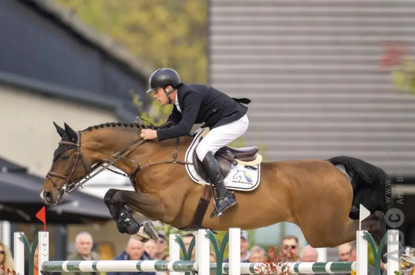 Bart Lips en Davinci Z winnen CSI2* 1.40m finale in Lier featured image