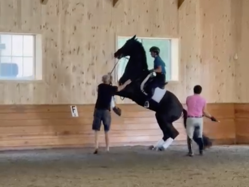 FEI Tribunaal publiceert 69 pagina’s tellende uitspraak Cesar Parra featured image