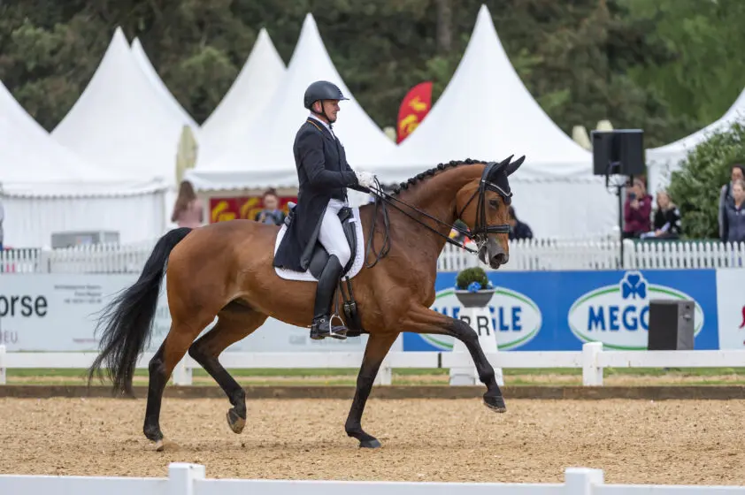 Hubertus Schmidt bij val van paard ernstig gewond geraakt featured image
