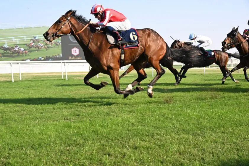 Bahreinse trainers en eigenaren timmeren flink aan de weg featured image