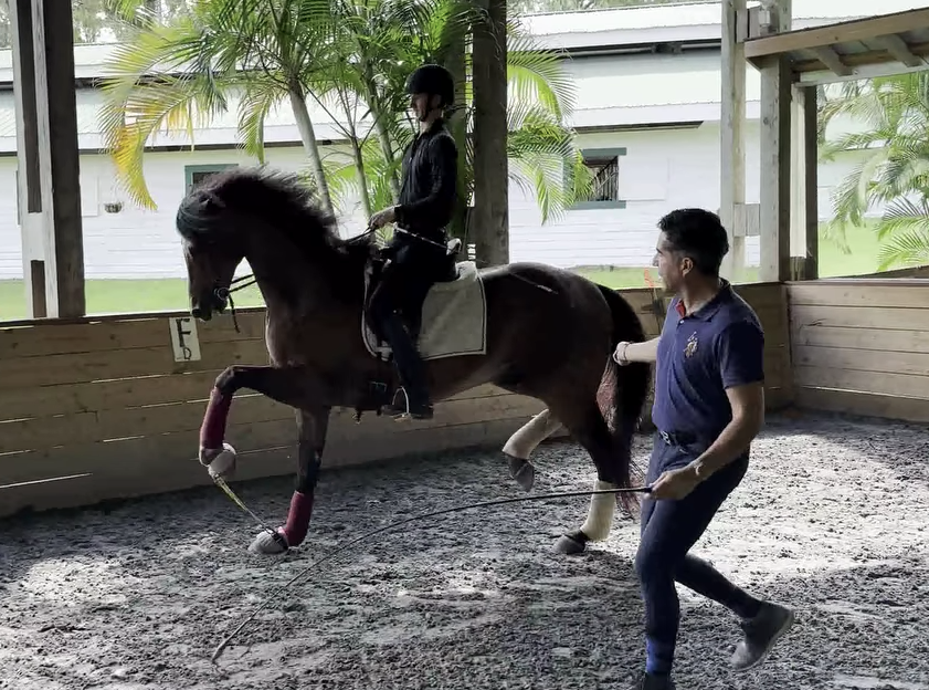 Amerikaanse bond USEF heeft geen regels om Cesar Parra aan te pakken featured image