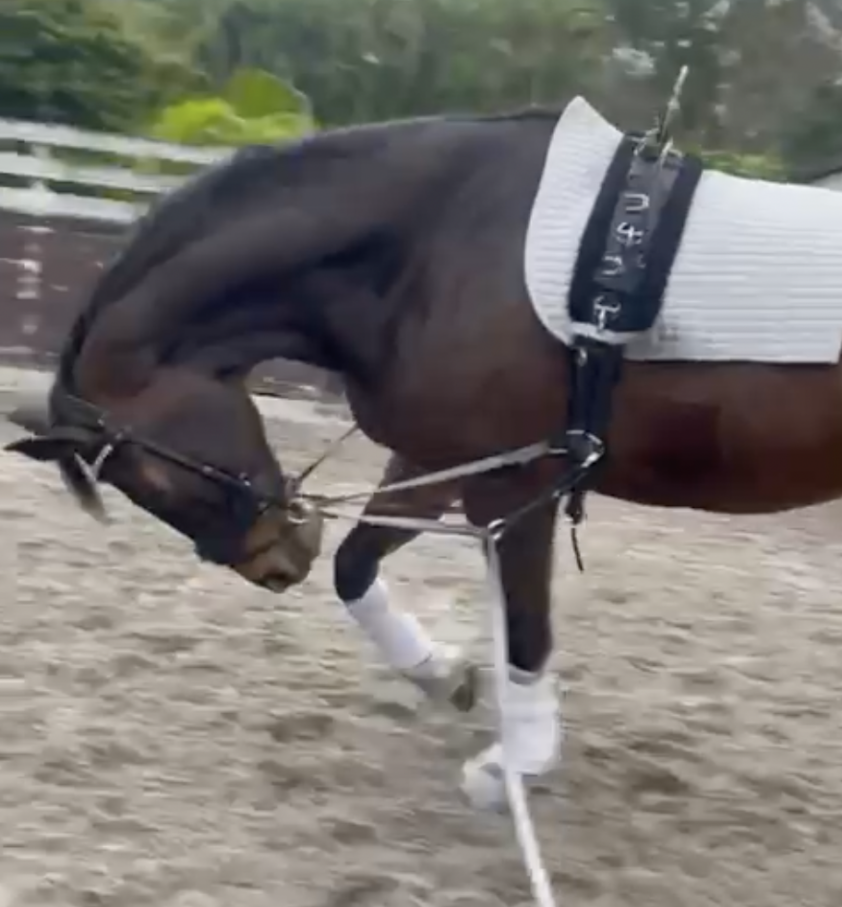 Mensen doen massaal aangifte tegen Cesar Parra featured image