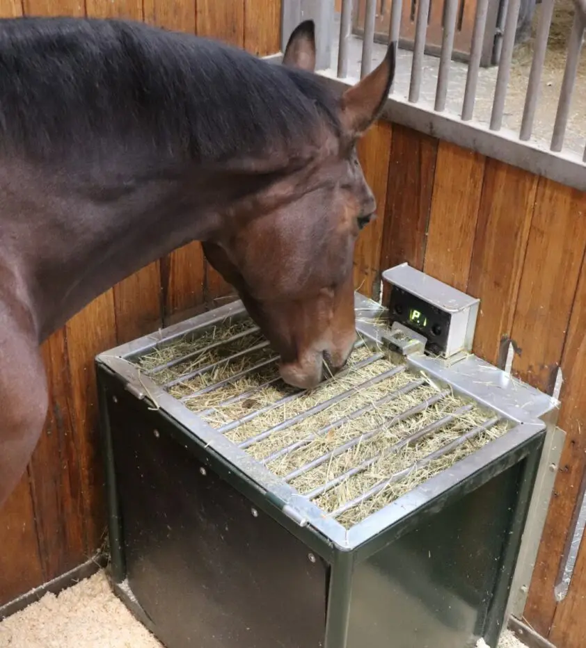 FeedingMaster: het innovatieve ruwvoersysteem voor paarden featured image