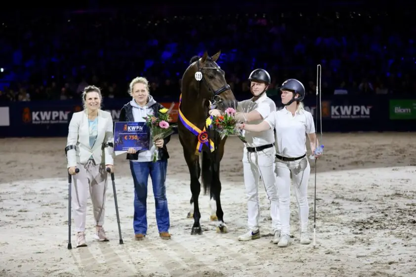 KWPN-premiehengst Rockstar Millionaire naar Emmelie Scholtens featured image