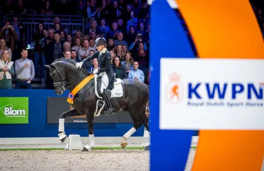 Stijger van de Maand Desperado: Het ‘geheim’ zit hem in de rijdbaarheid featured image