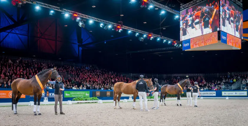 Johnson voor vierde jaar op rij aan kop WBFSH-ranking, Vitalis, Dante Weltino en Zonik grootste stijgers featured image