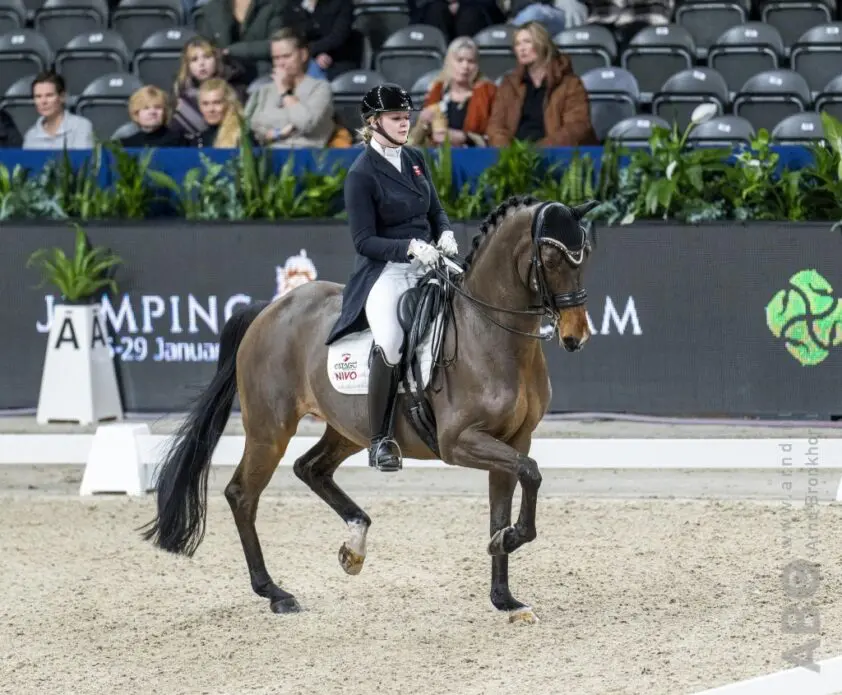 Thea Bech verwelkomt nieuw talent op stal featured image