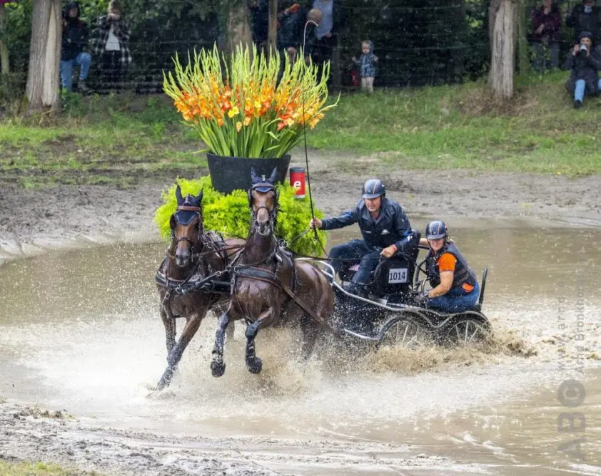 Ad Aarts maakt selectie tweespanrijders WK  Beekbergen bekend featured image