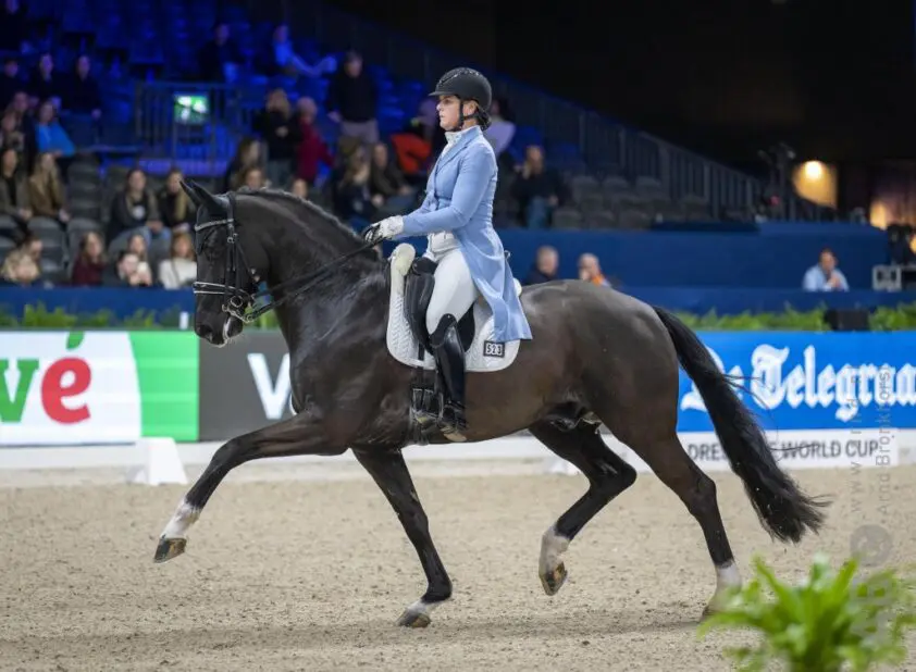 CDI Lier: Tommie Visser wint Prix St. Georges, Daniëlle Heijkoop en Mac Toto USB vijfde featured image