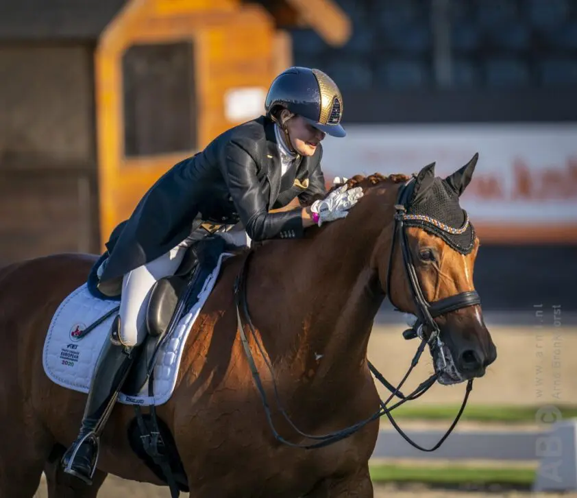 Alle Subtopuitslagen op rij: week 13 featured image