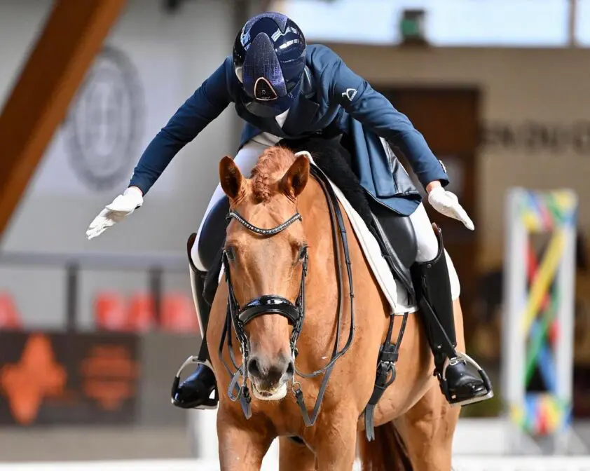 Alle Subtopuitslagen op rij: week 11 featured image