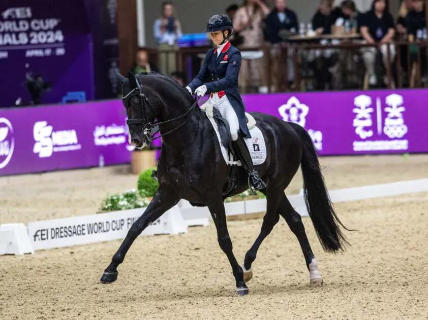 Wereldbekerfinale: Everdale en Fry winnen Grand Prix, combinaties uit top-5 laatje staan bovenaan featured image