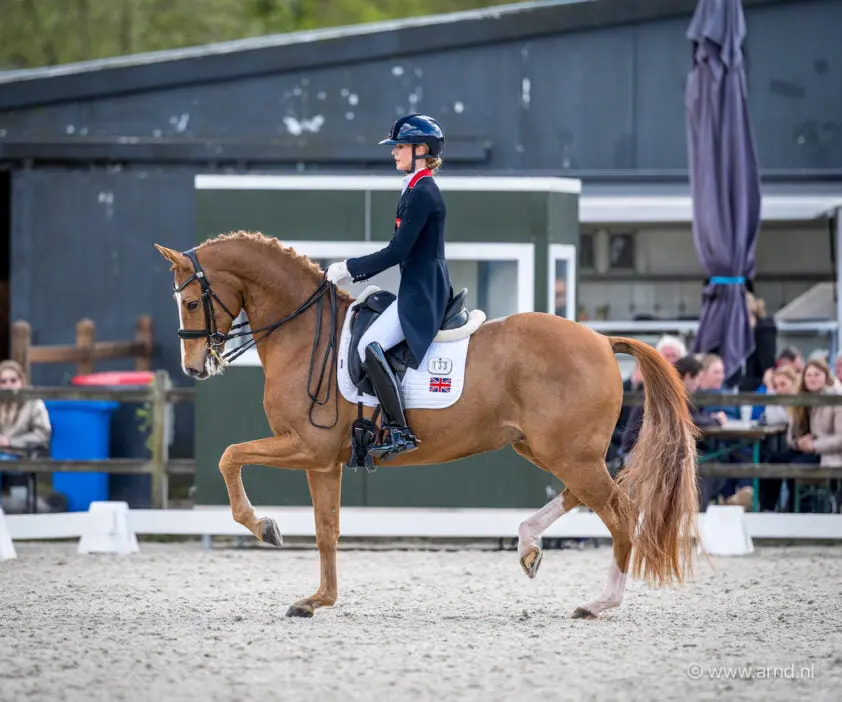 Pidgley en Gio terug in de ring, 77% in nationale Inter II featured image
