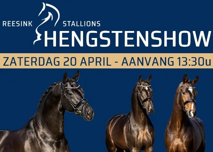 Zaterdag hengstenshow Reesink Stallions Indoor featured image