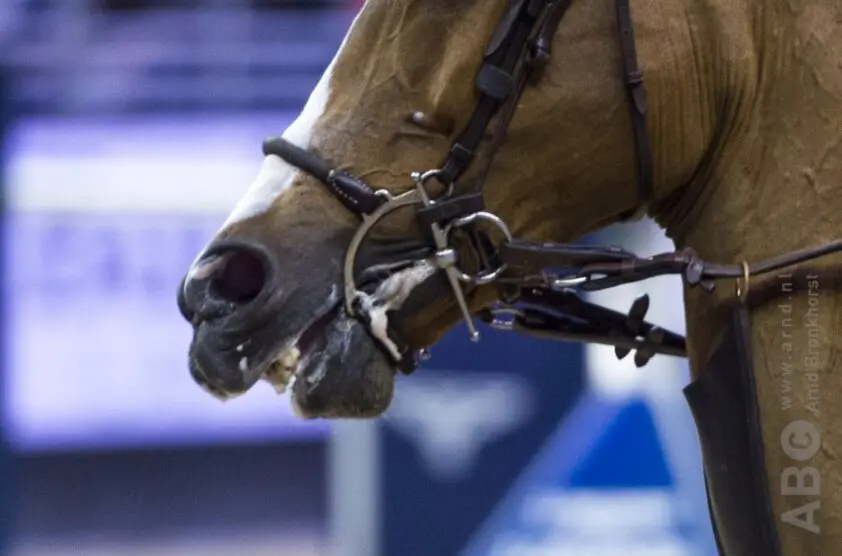 Podcast de Week Van Horses: Hoe de FEI worstelt met paardenwelzijn featured image
