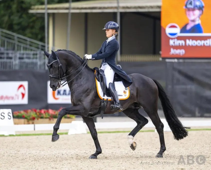 EK dressuur Oostenrijk: U25 en Young Riders team bekend featured image