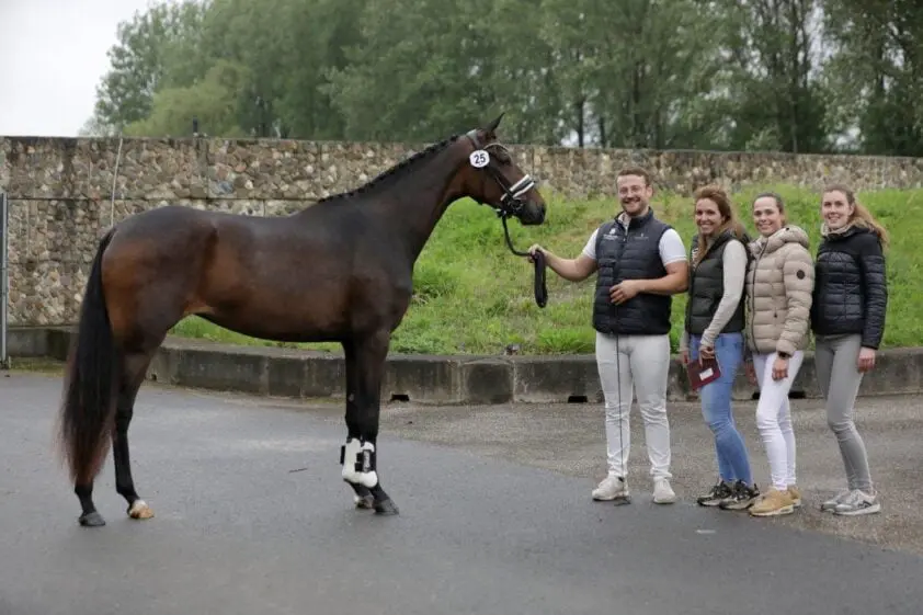 Toekomstparels scoren op eerste stamboekkeuring De Steeg featured image