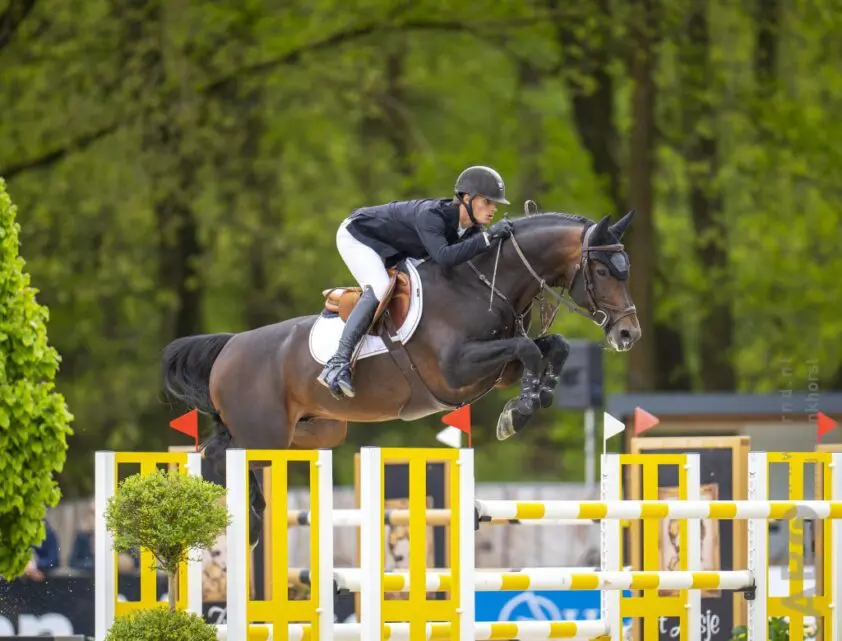 Podcast De Week Van Horses: Springsterren en opkomend talent bij de Globals in Valkenswaard featured image