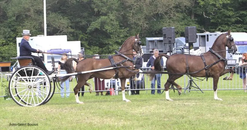 Derk Jan Mekkes wint eerste wedstrijd Rondje Drenthe om Bronzen Bartje featured image