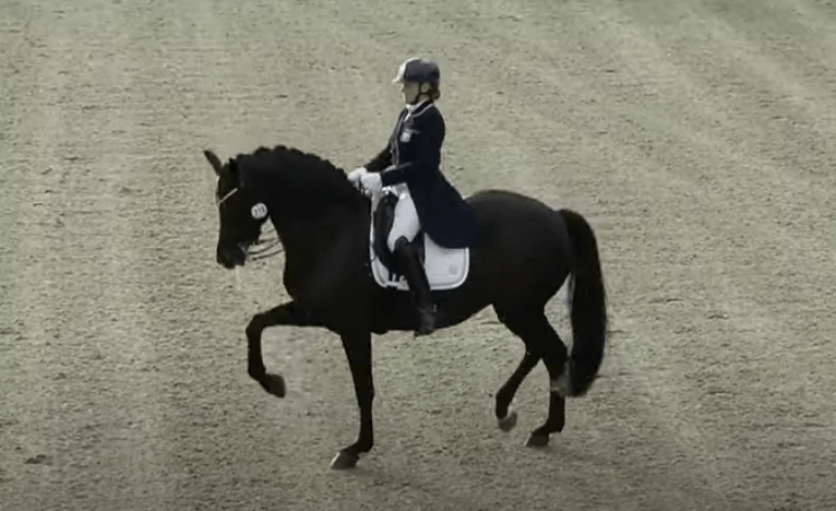 Wiesje Roosjen over Grand Prix-talent Maxima Bella: ‘Voor slachtprijs verkocht’ featured image