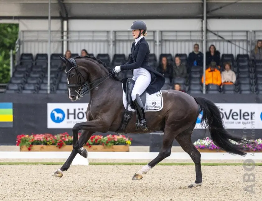 Denise Nekeman tweede in LT kür Kronenberg met Kansas featured image