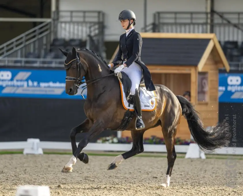 Thalia Rockx: ‘De N.O.P. Talent status voor Koko Jr. de la Fazenda is de kers op de taart’ featured image