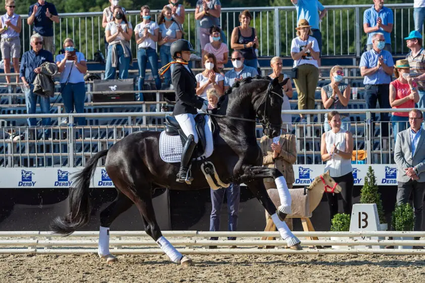 550.000 euro voor driejarige Total McLaren-dochter in herfstveiling Klosterhof Medingen featured image