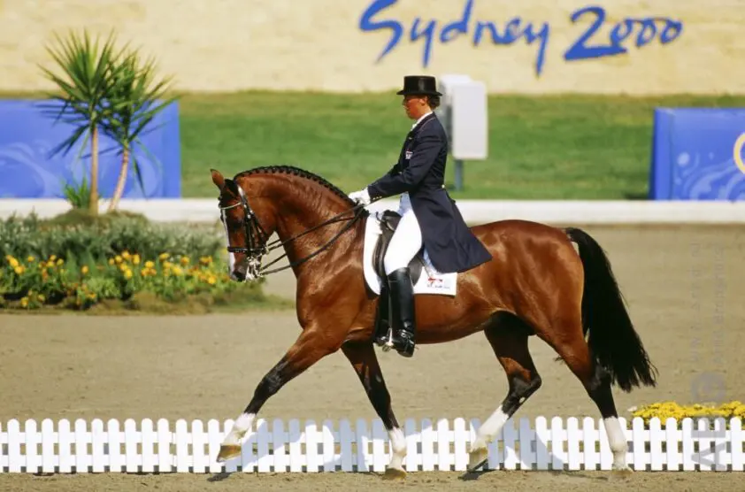 Ellen Bontje, Angelique Hoorn en Martin Lips aan het woord over hun Olympische ervaringen featured image