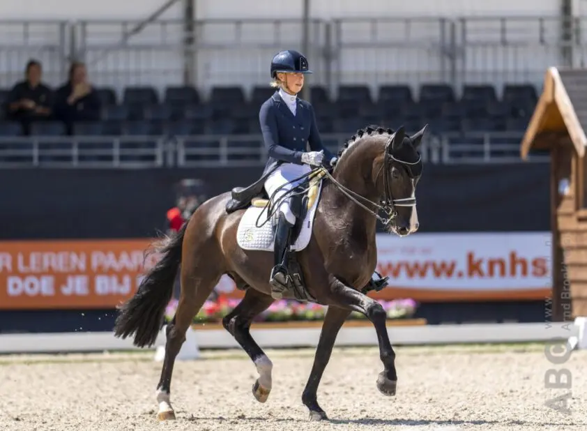 Kirsten Brouwer en Stand By Me des Paluds winnen K&U Grand Prix met nieuw PR: ‘Hij laat super veel progressie zien’ featured image