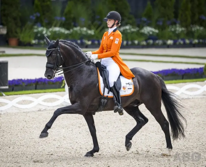 Denise Nekemans Boston STH kruipt door het oog van de naald: 4 uur onder het mes featured image