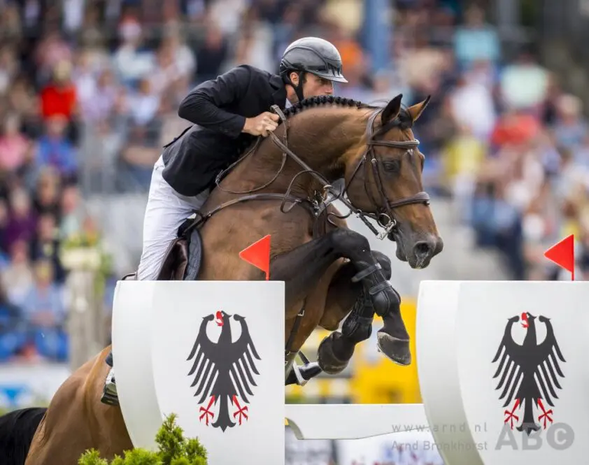 Duurste embryo in eerste Oldenburger ‘Save the Future’-veiling voor 16.500 euro naar Finland featured image