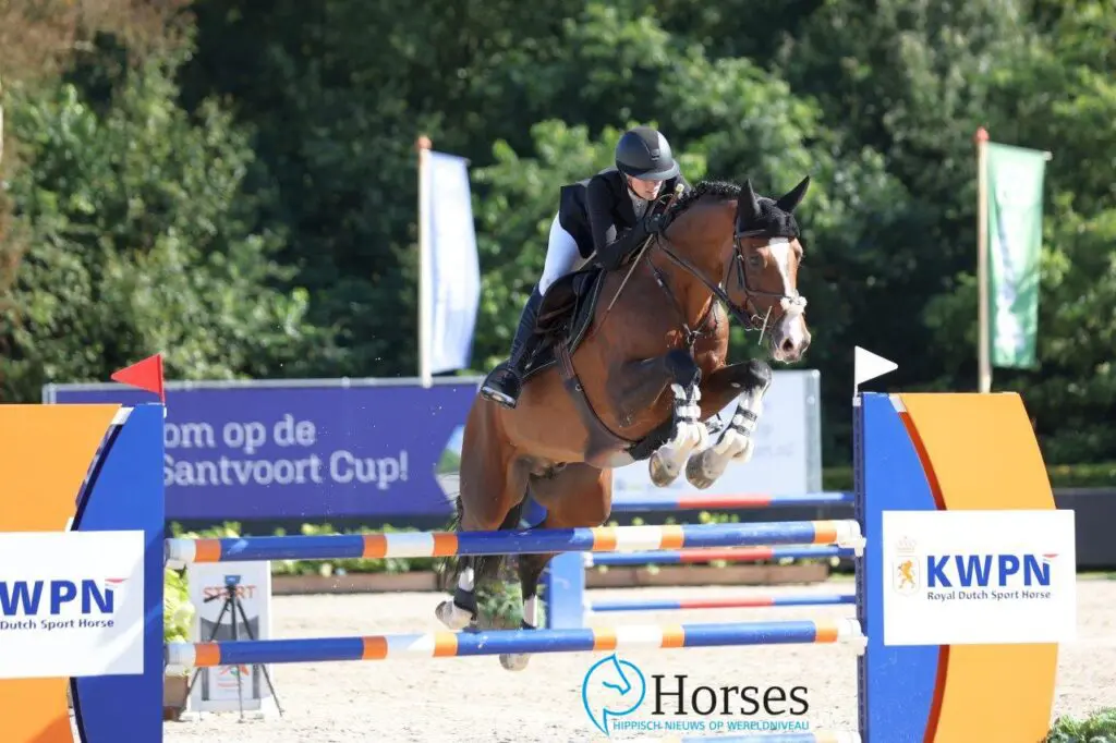 SK De Mortel: NMK-ticket voor twee springmerries featured image