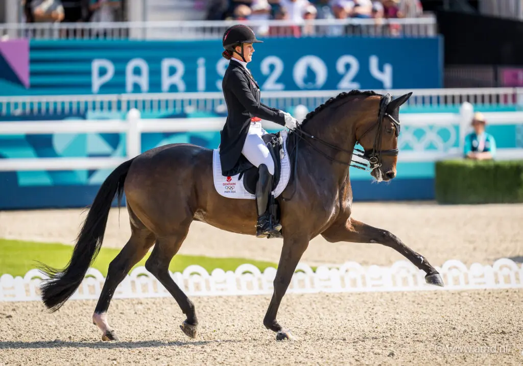 Laudrup-Dufour trekt Freestyle terug voor CHIO Aken featured image