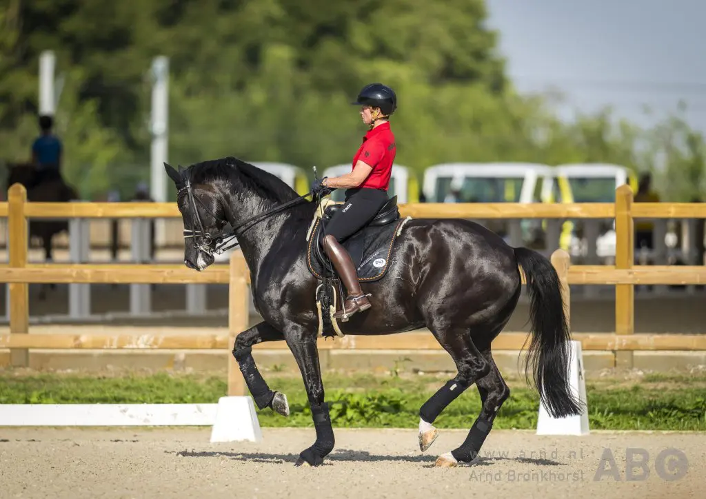 Von Bredow-Werndl verliest leidende positie aan Werth, Van Liere vijfde op FEI Wereldranglijst featured image