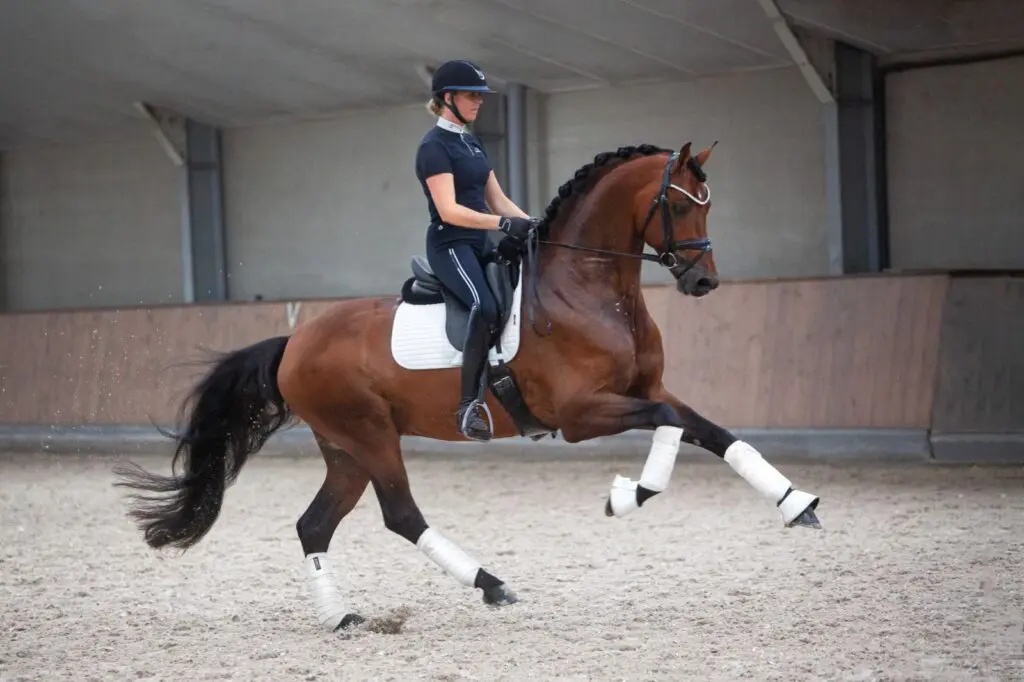 Emma Laarkamp zelfstandig verder: ‘De handel trekt mij erg aan’ featured image