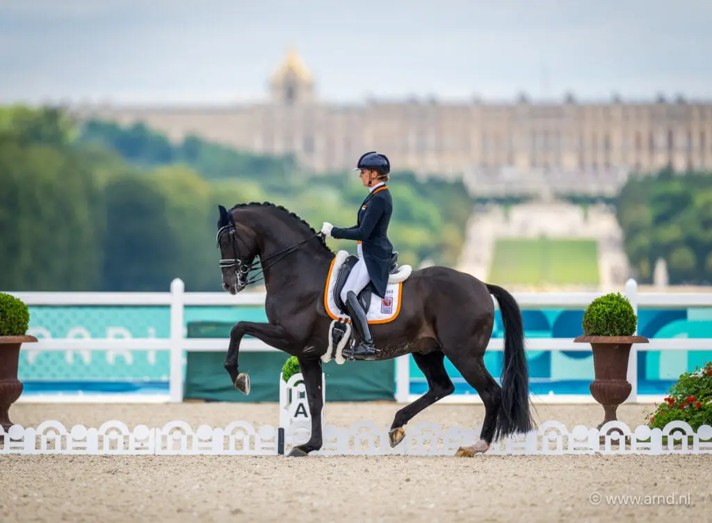 Emmelie Scholtens’ Indian Rock verkocht aan Heidi Humphries featured image