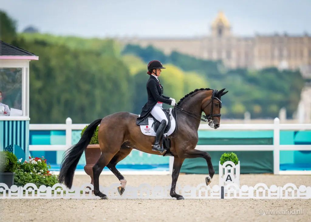 Denen met Laudrup-Dufour, Helgstrand, Aboe Sloth en Dupont naar EK Dressuur featured image