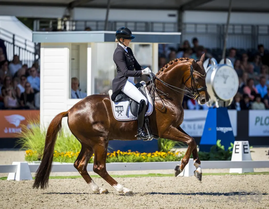 Drievoudig WK-zilveren Vitalos FRH verkocht aan jeugdamazone featured image