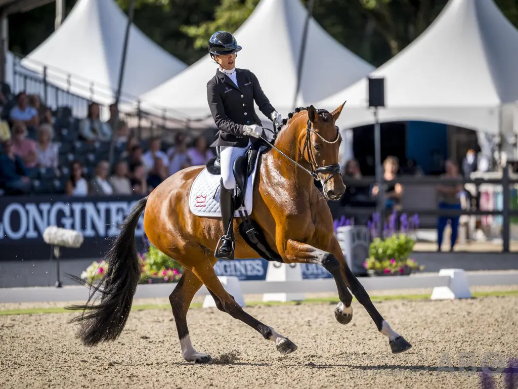 Patrik Kittel en WK-merrie Valerie B naar ruim 74% bij wedstrijddebuut featured image