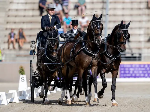 WK Vierspannen: Vader en zoon Chardon vijfde en zesde na dressuur featured image