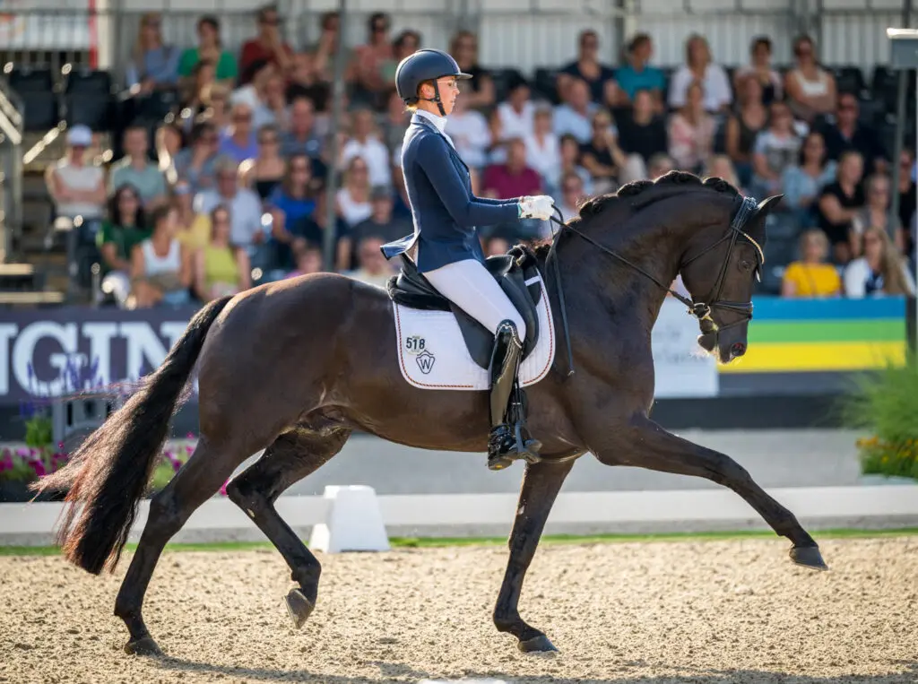 WK-zilveren Glamdale WP en MSJ Tokyo Style naar Leonie Richter featured image