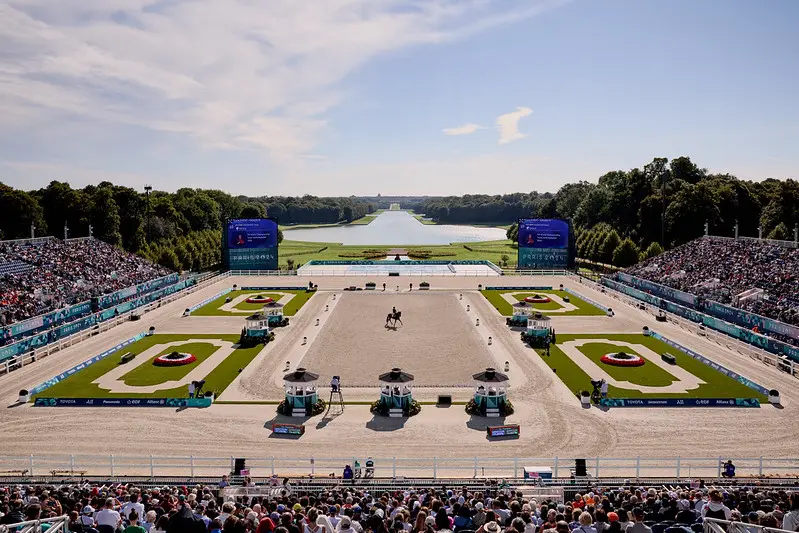 Jurylid Ineke Jansen: ‘De ontwikkeling in de paradressuur is enorm’ featured image