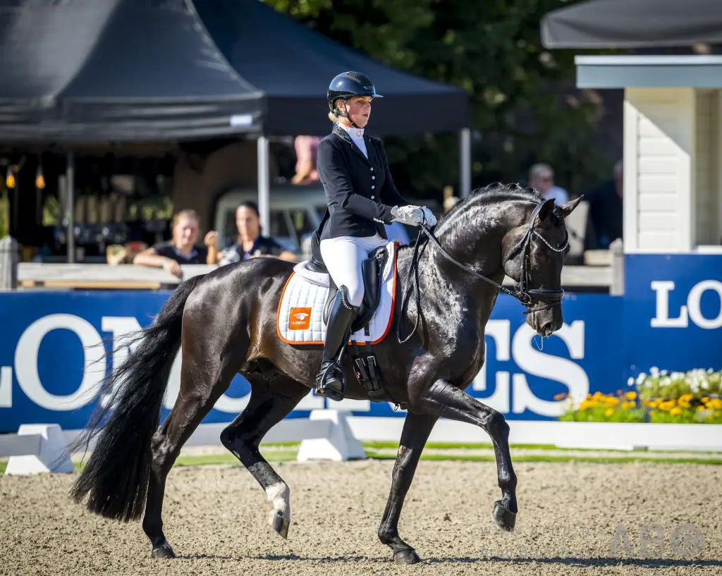 Spermaonderzoek Obsession Taonga hernieuwd featured image