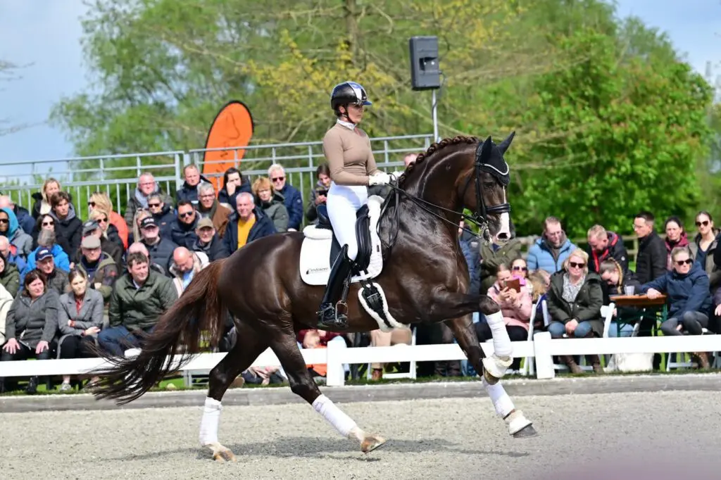 Miami Turfhorst verhuist naar Carmen Coronel featured image